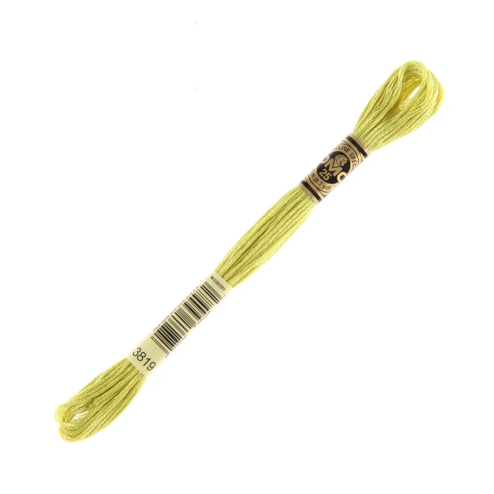 DMC Mouline Special 8 m Embroidery Thread - 3819