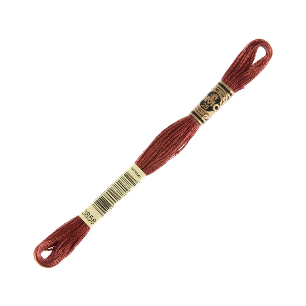 DMC Mouline Special 8 m Embroidery Thread - 3858