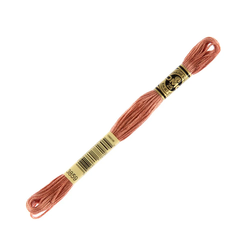 DMC Mouline Special 8 m Embroidery Thread - 3859