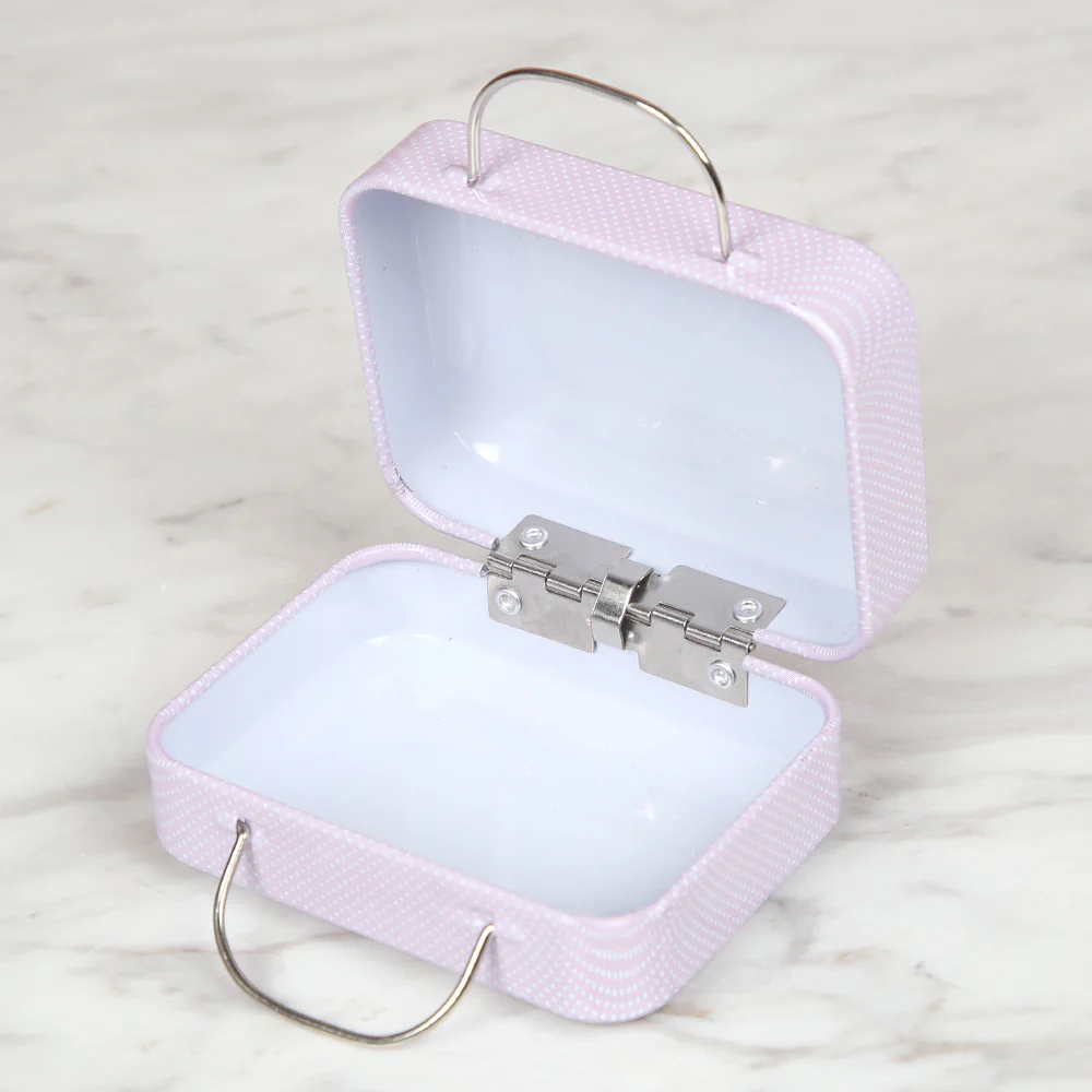 Nas Metal Storage Box Bag - Pink - Image 2